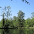 The Source Pond